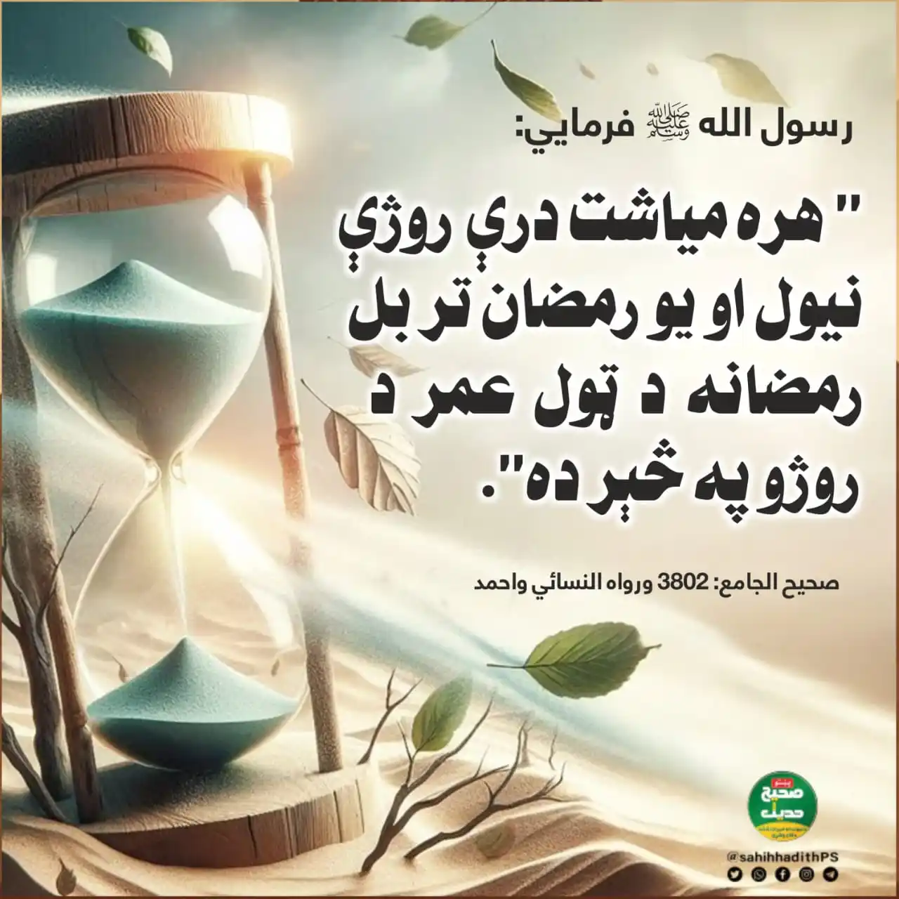 Image from صحیح حدیث پښتو: <a class="text-blue-500 hover:underline cursor-pointer" href="/hashtag...