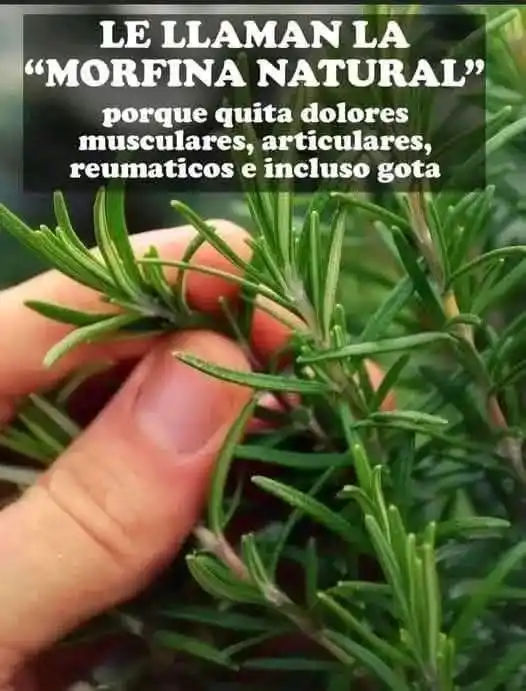 SOY PACHAMAMA post