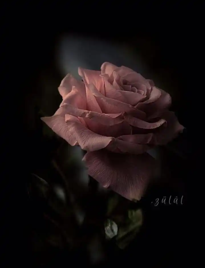 صراط المستقیم post