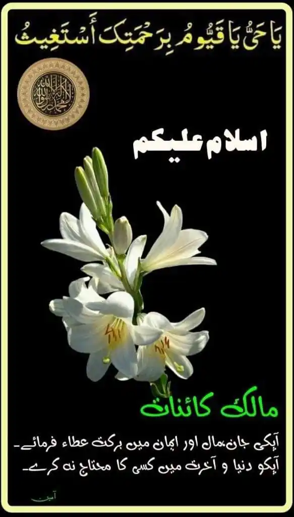 •┈•┈•⊰✿ صراط مستقیم ✿⊱•┈•┈•   •┈•┈•⊰✿ Diect Path ✿⊱•┈•┈• post