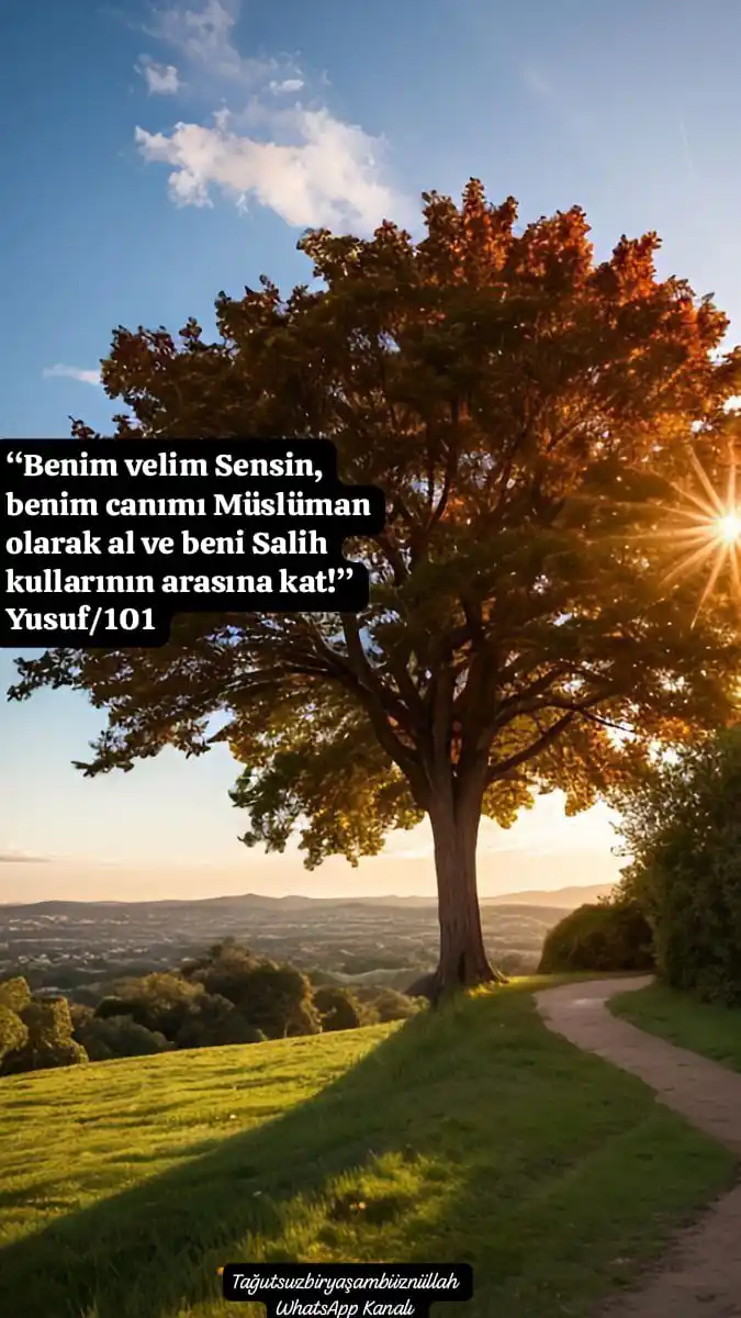 Tağutsuz Bir Yaşam Biiznillah post