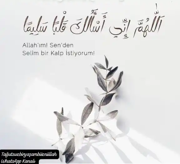 Tağutsuz Bir Yaşam Biiznillah post