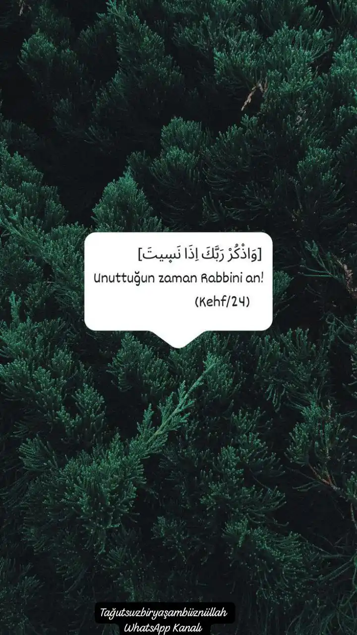 Tağutsuz Bir Yaşam Biiznillah post