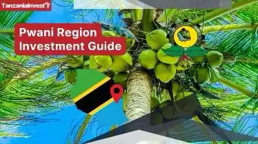 TanzaniaInvest.com post