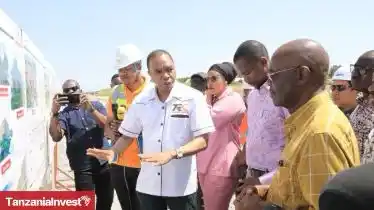 TanzaniaInvest.com post