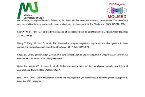 The African Network  post