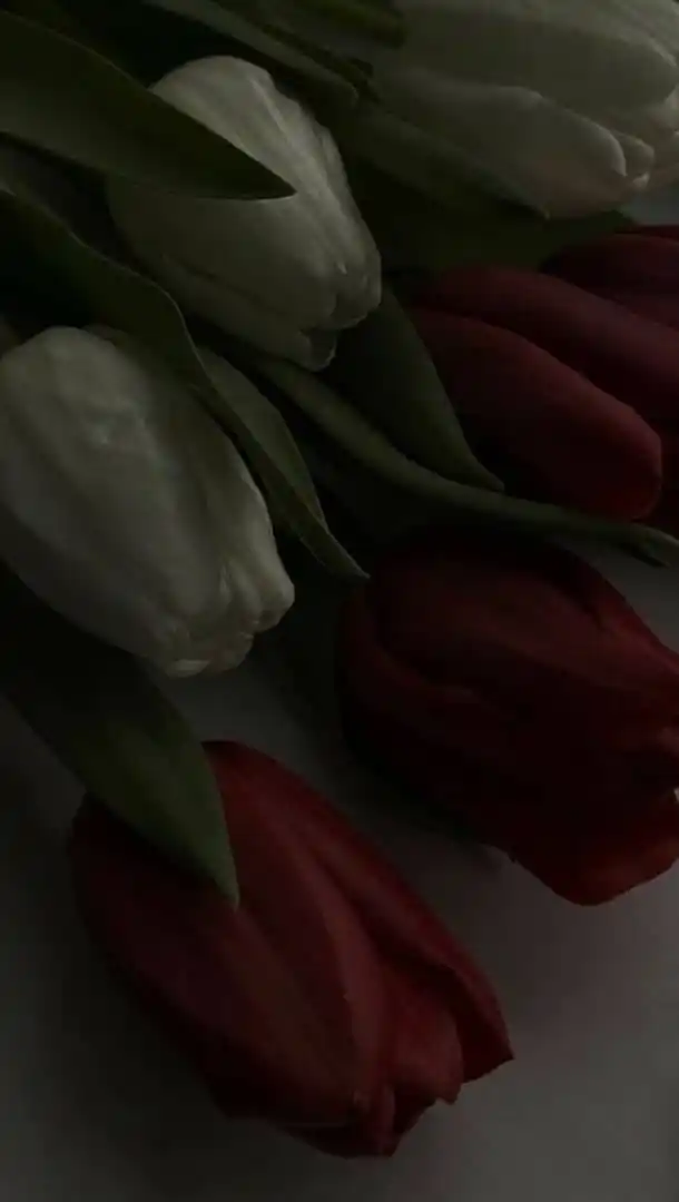 تماشاگه راز post
