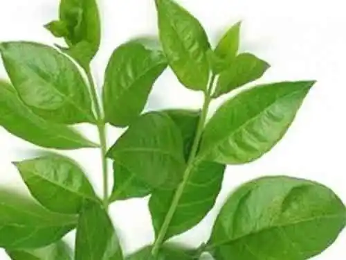 தமிழர் மருத்துவம்🍎 post