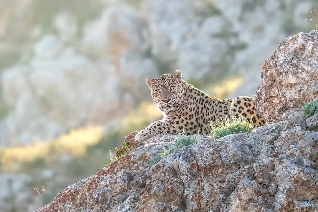 تمین آنلاین post