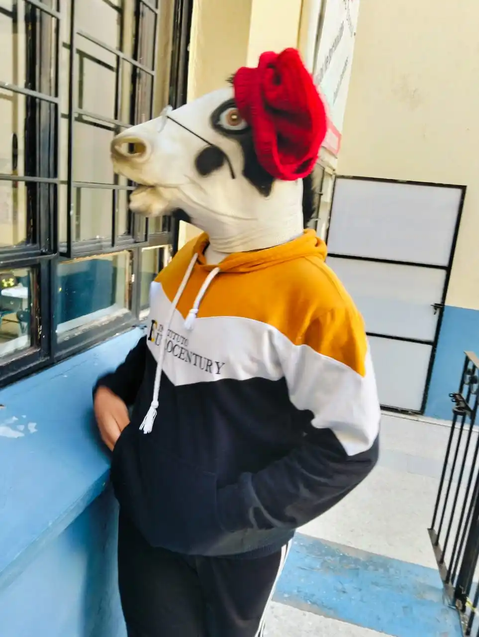 Mapache_art post