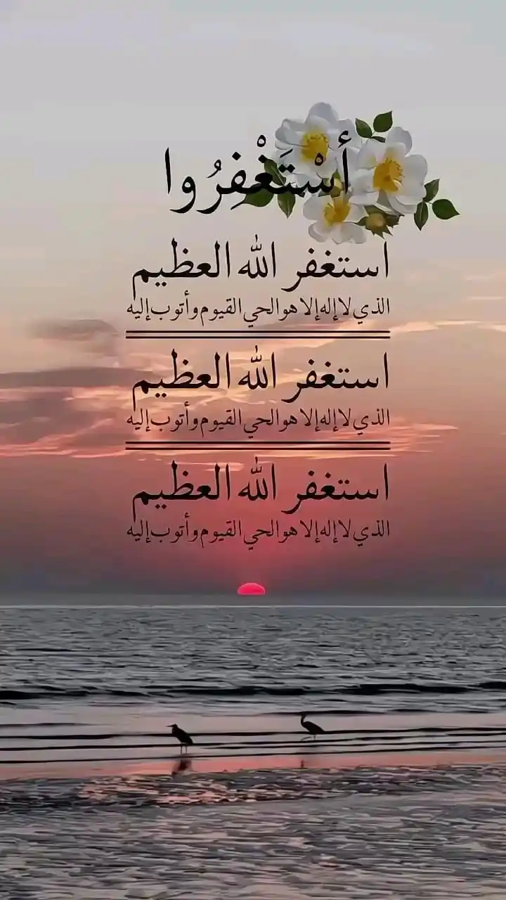 تذكرة post