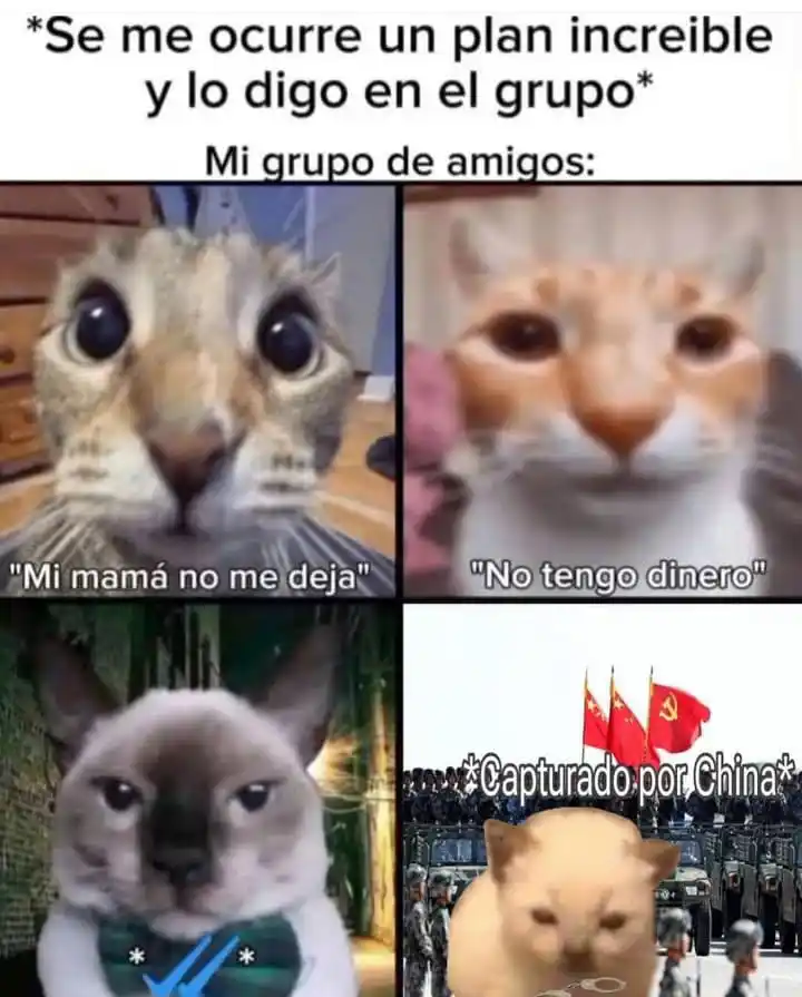 Una Negra, Una Blanca, Una Amarilla, Una Puchaina Y Una Gris post