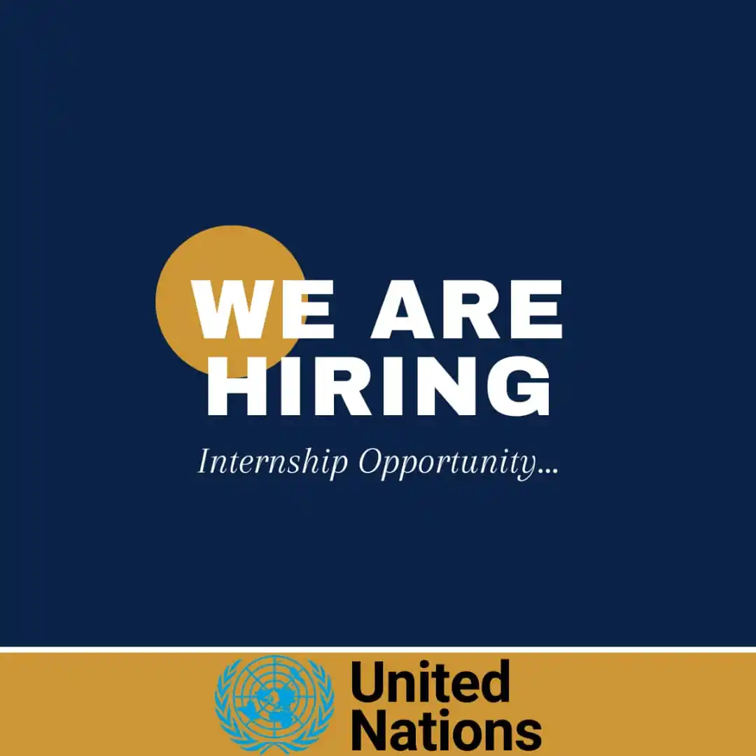 United Nations Careers post