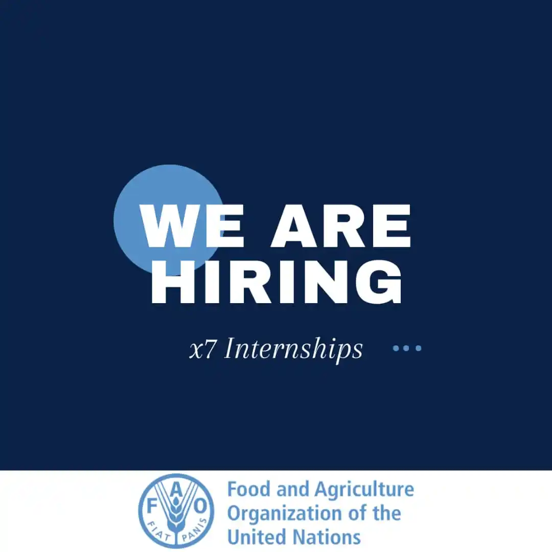 Image from United Nations Careers: ππ
ππ πππ₯π₯ ππ¨π« ππ±π©π«ππ¬π¬π’π¨π§ π¨π ππ§πππ«ππ¬π β ...