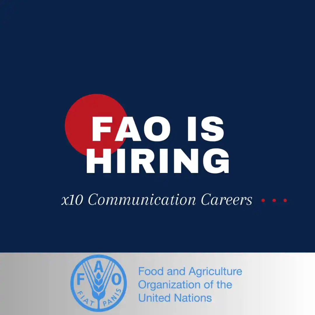 Image from United Nations Careers: 🌐𝐱𝟏𝟎 𝐅𝐀𝐎 𝐂𝐨𝐦𝐦𝐮𝐧𝐢𝐜𝐚𝐭𝐢𝐨𝐧 𝐚𝐧𝐝 𝐏𝐮𝐛𝐥𝐢𝐬𝐡𝐢𝐧𝐠...