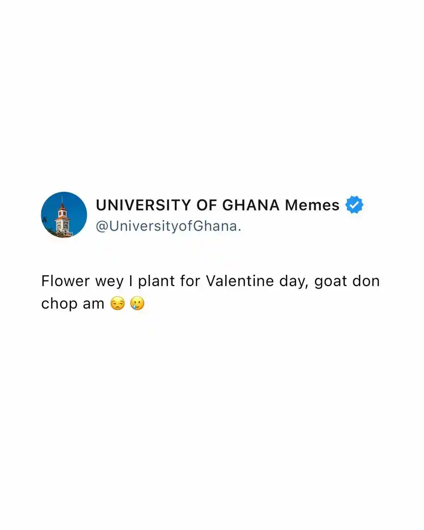 UNIVERSITY OF GHANA Memes😅 post