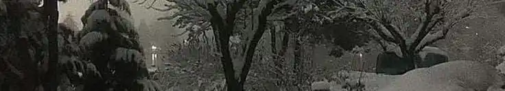 ✿  ˑ   🤲🏻ᩙ⃨    fׅ𐐲ׂ︧︨︠︡αɠּⴜׅ︩︪ҽֺɳƚαּ︨︧︠︡ꛆσּ̄აׅ    ۪  ᰨᰍ  ֹ post