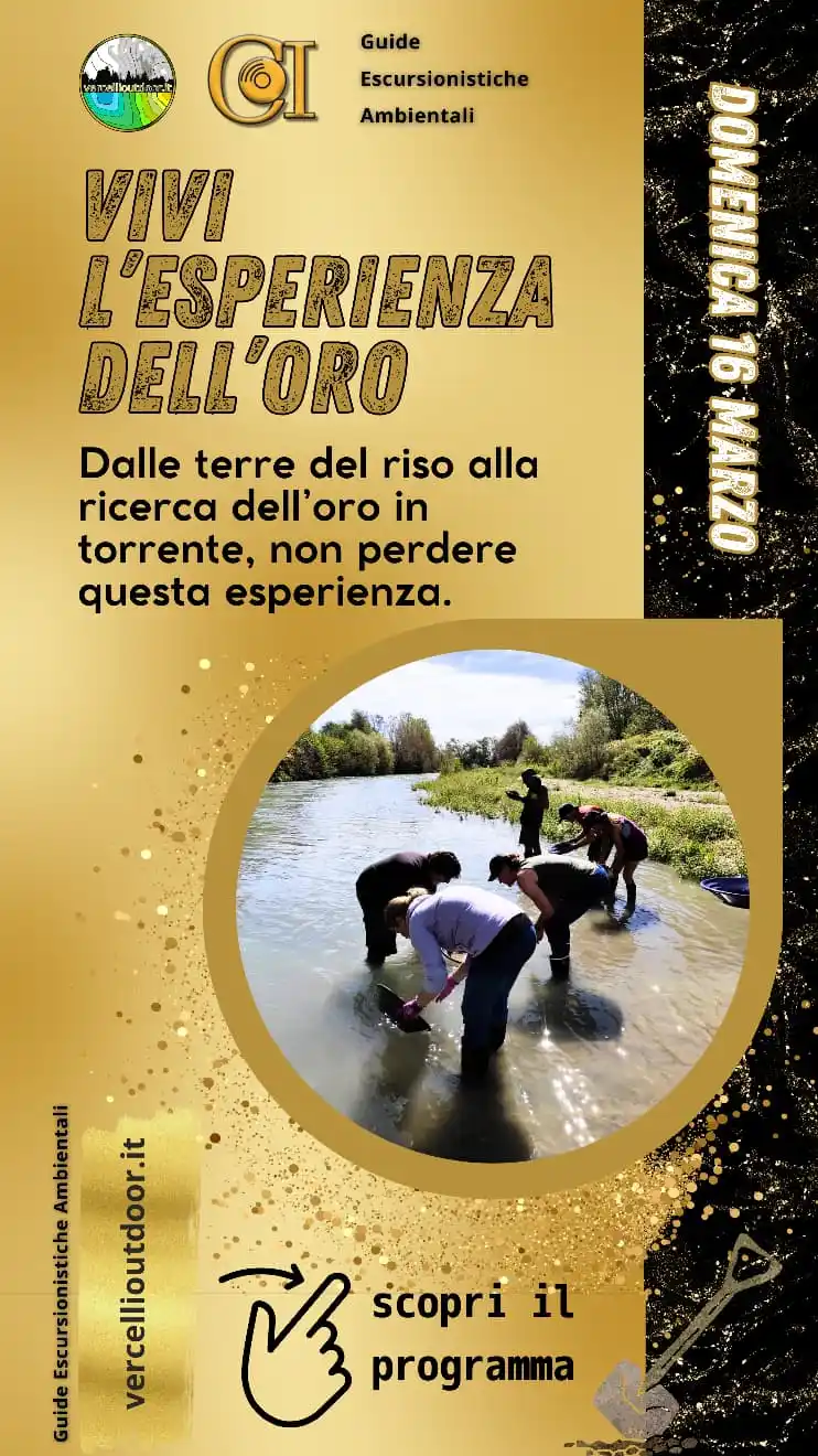 Vercellioutdoor, resta aggiornata/o sulle prossime uscite in Mountain Bike, Gravel, Trekking post