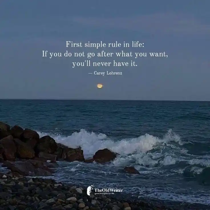 ✨°𝙒𝞢 𝙁𝞘𝞜𝘿 𝙅𝞗𝞑𝙎°✨ post