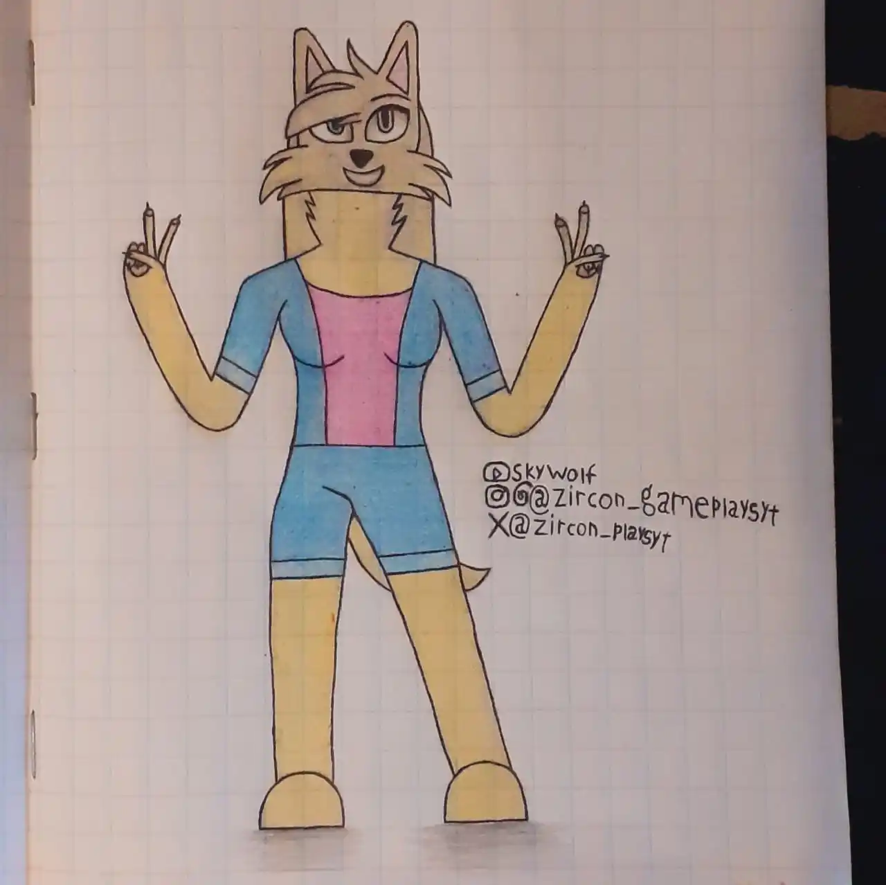 Zircon Gameplays post