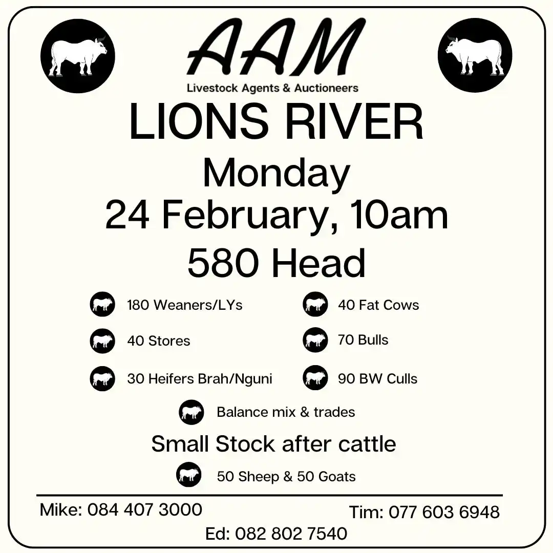 AAM Livestock Agents and Auctioneers 🐂 post