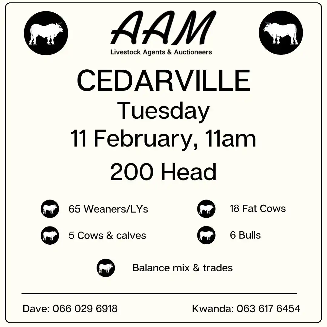 AAM Livestock Agents and Auctioneers 🐂 post