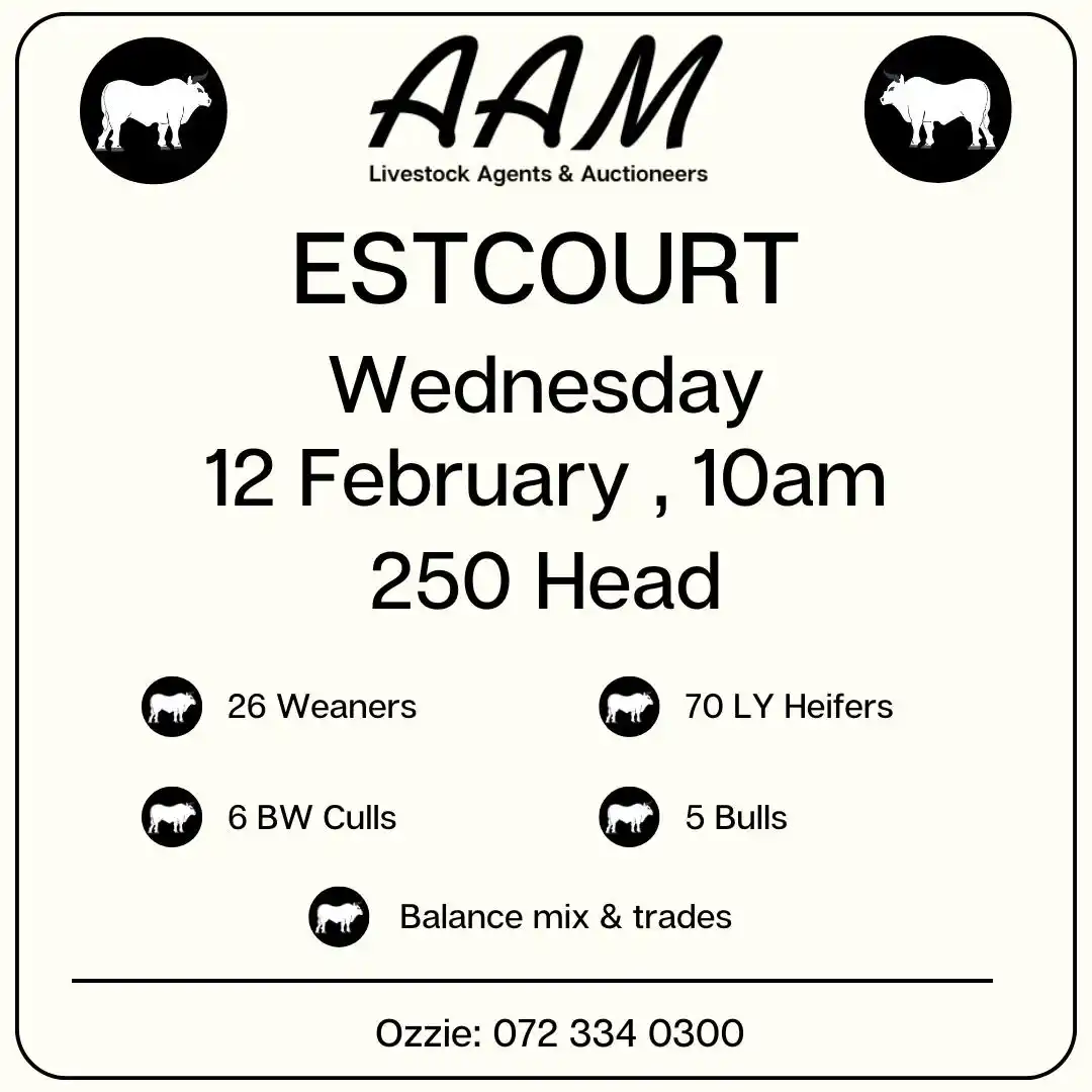 AAM Livestock Agents and Auctioneers 🐂 post