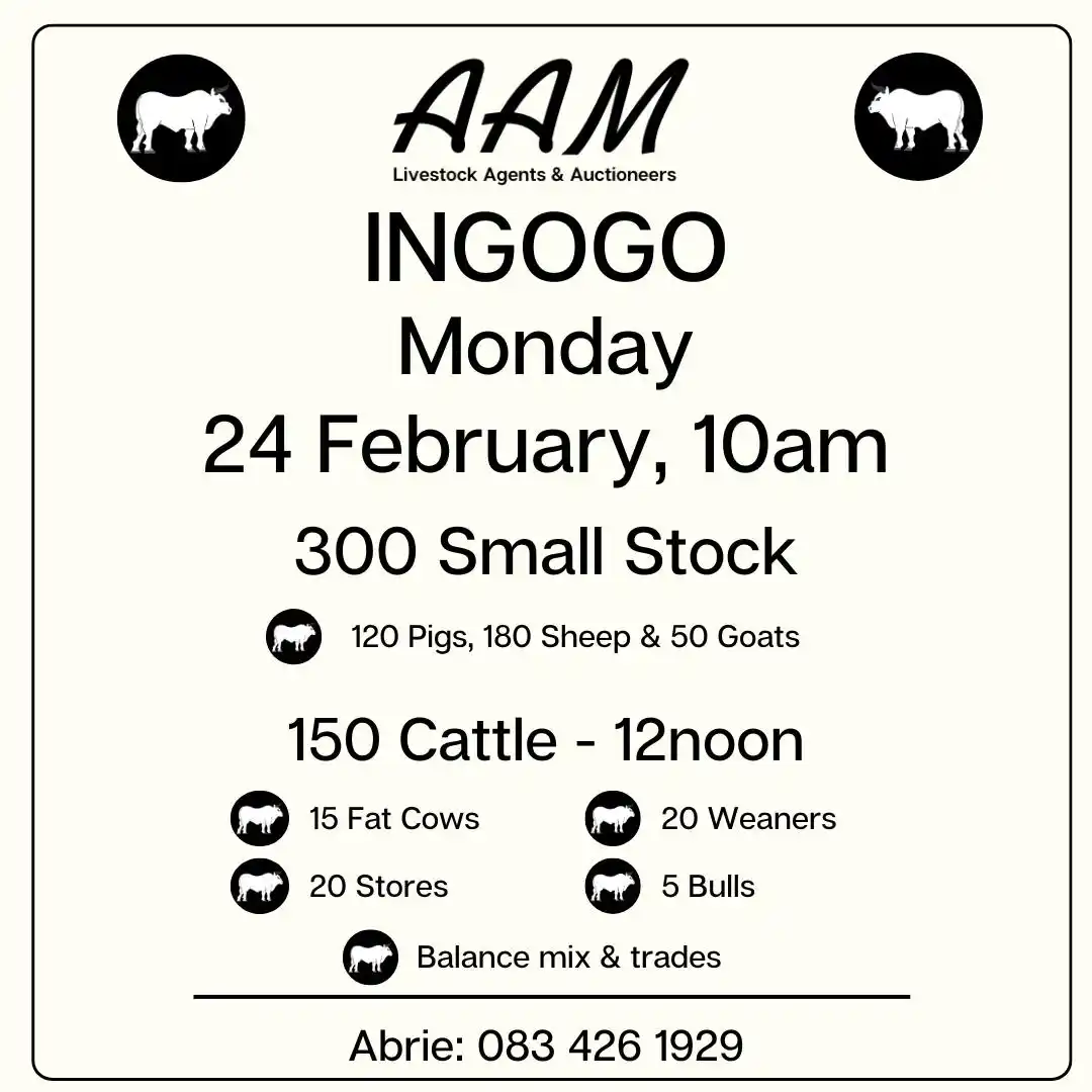AAM Livestock Agents and Auctioneers 🐂 post