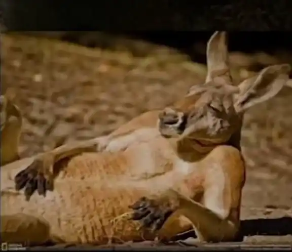 عــــــــطــــــر الكـــــــــلام post