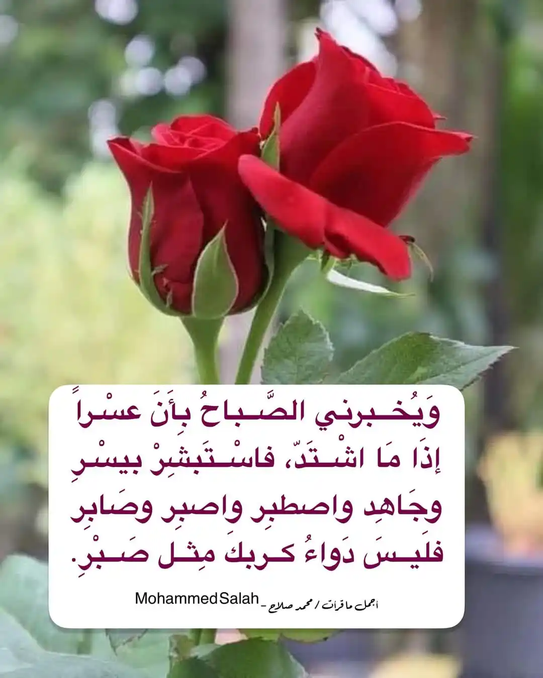 أجمل ما قرأت post