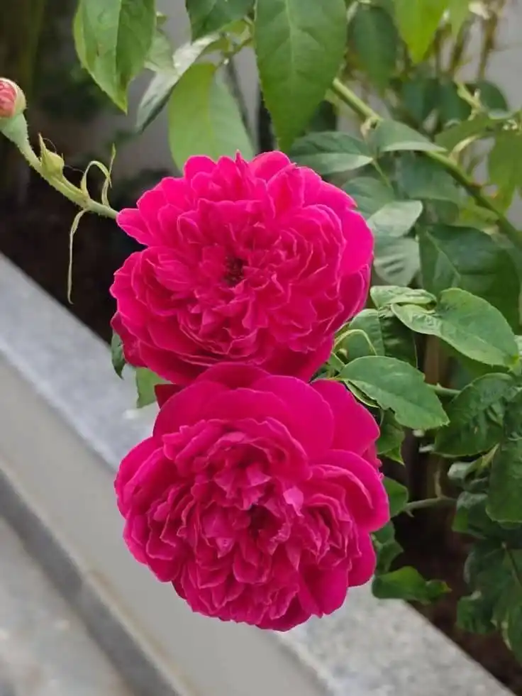أجمل ما قرأت post