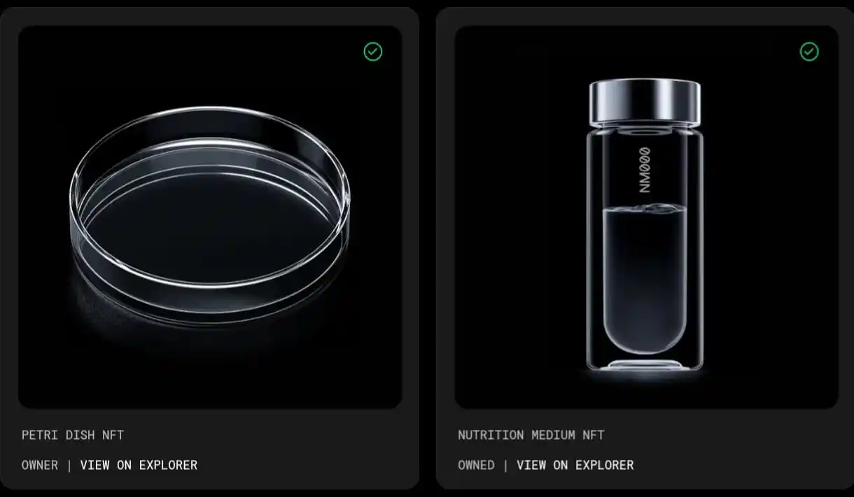 Airdrop Alchemy: Brawanek Edition post