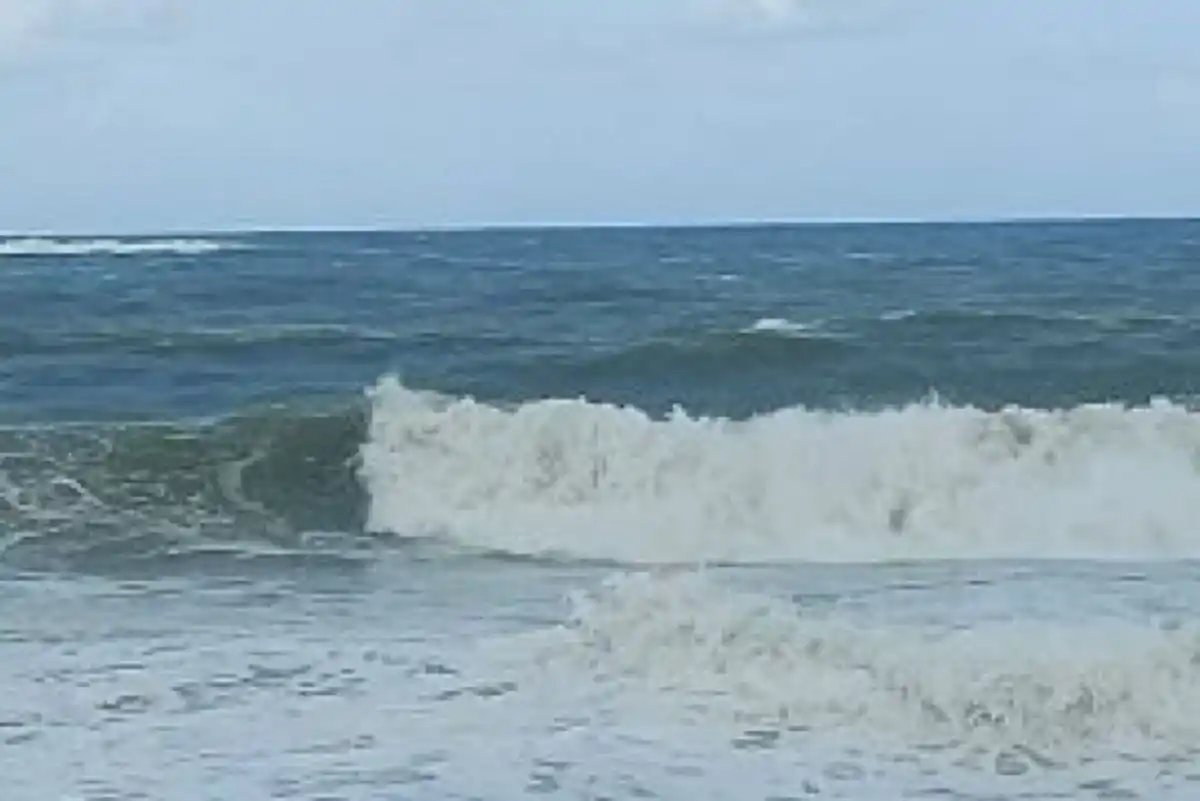 اخبار الشرقية post