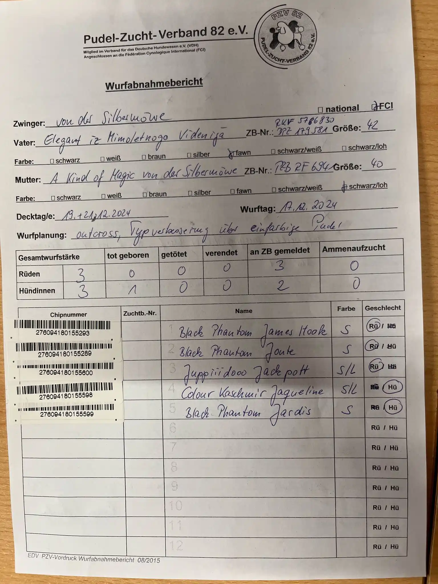 Bunte Pudel von der Silbermöwe post