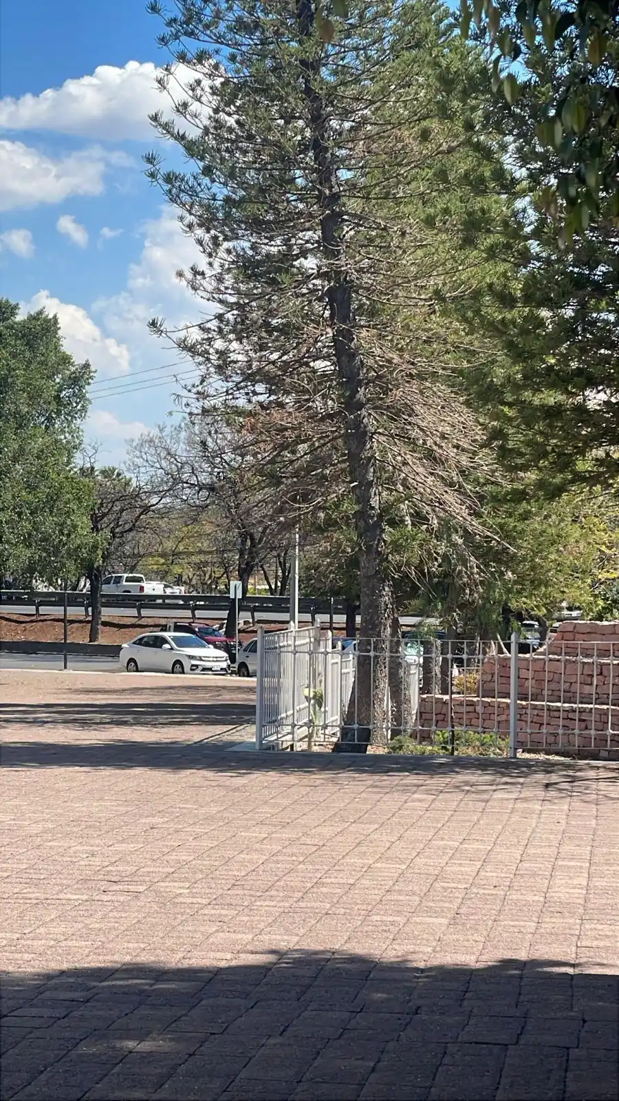 👾 CODIFICADORASQRO 👾 post