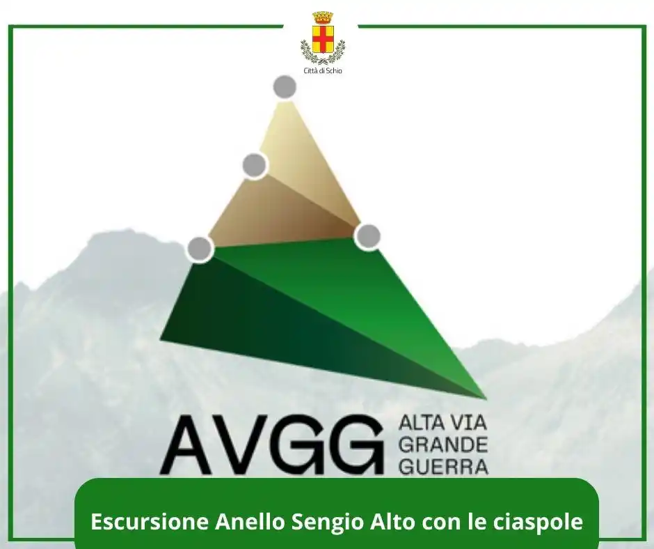 Comune di Schio post
