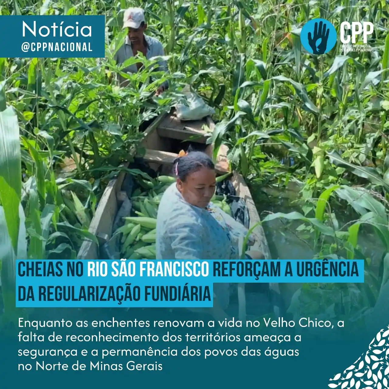 Image from Conselho Pastoral dos Pescadores e Pescadoras: 🌊 *Cheias no Rio São Francisco e a luta por territórios regularizados...