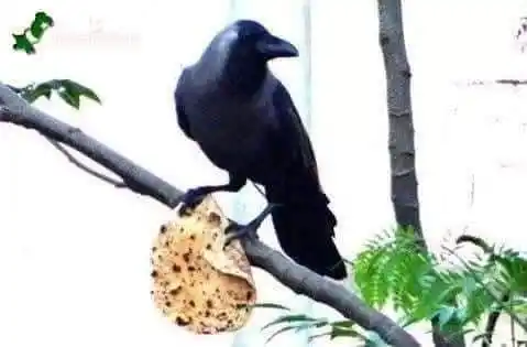 ❤️•°سنہری باتیں°•❤️ post