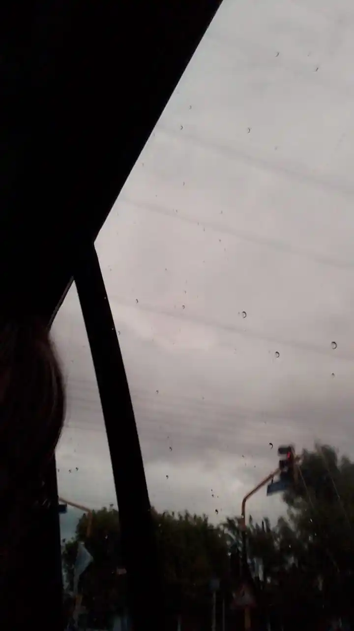 Diario de una recién adulta post