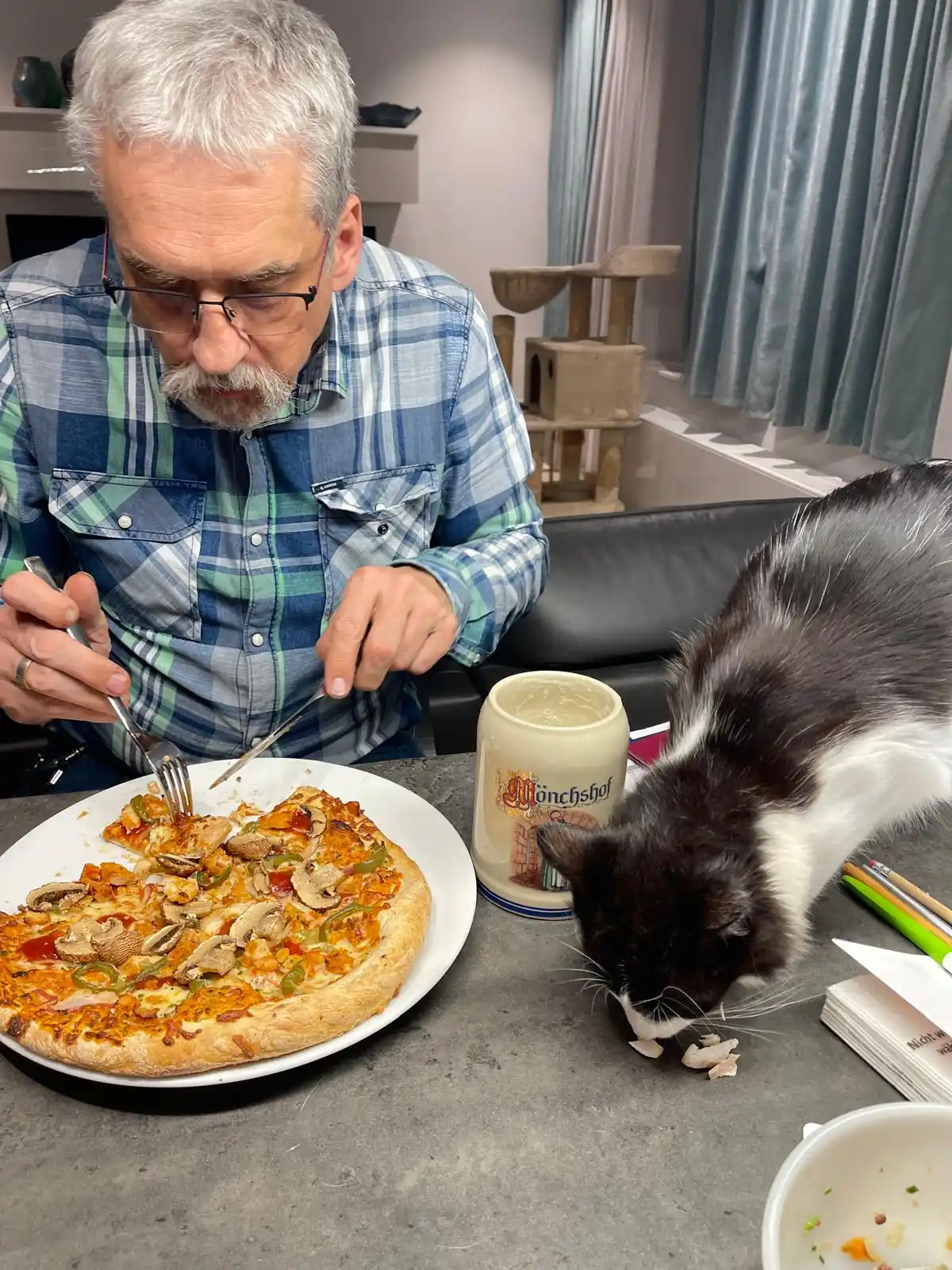 EL CAPITÁN animal project e.V. post