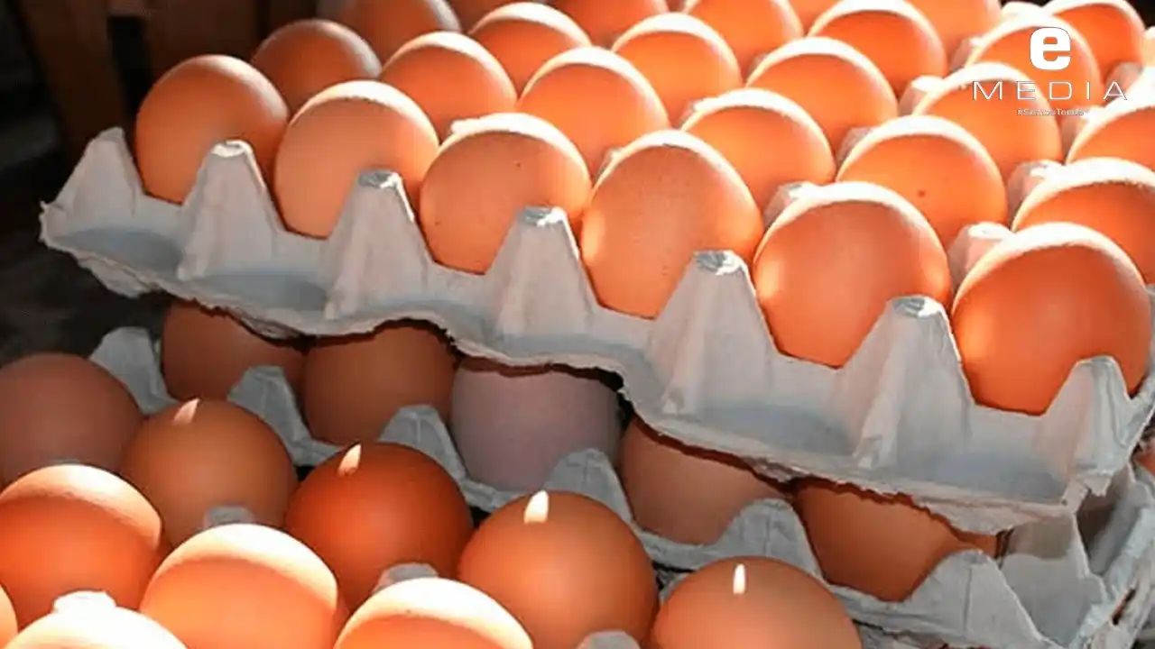 EXPRESO - e Media post