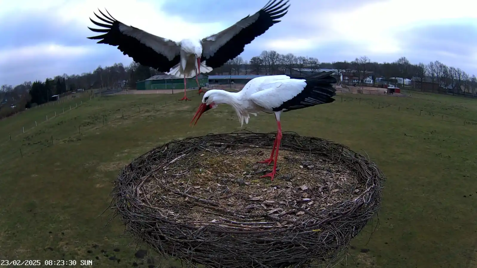 FLUSSCAM BUXTEHUDE post