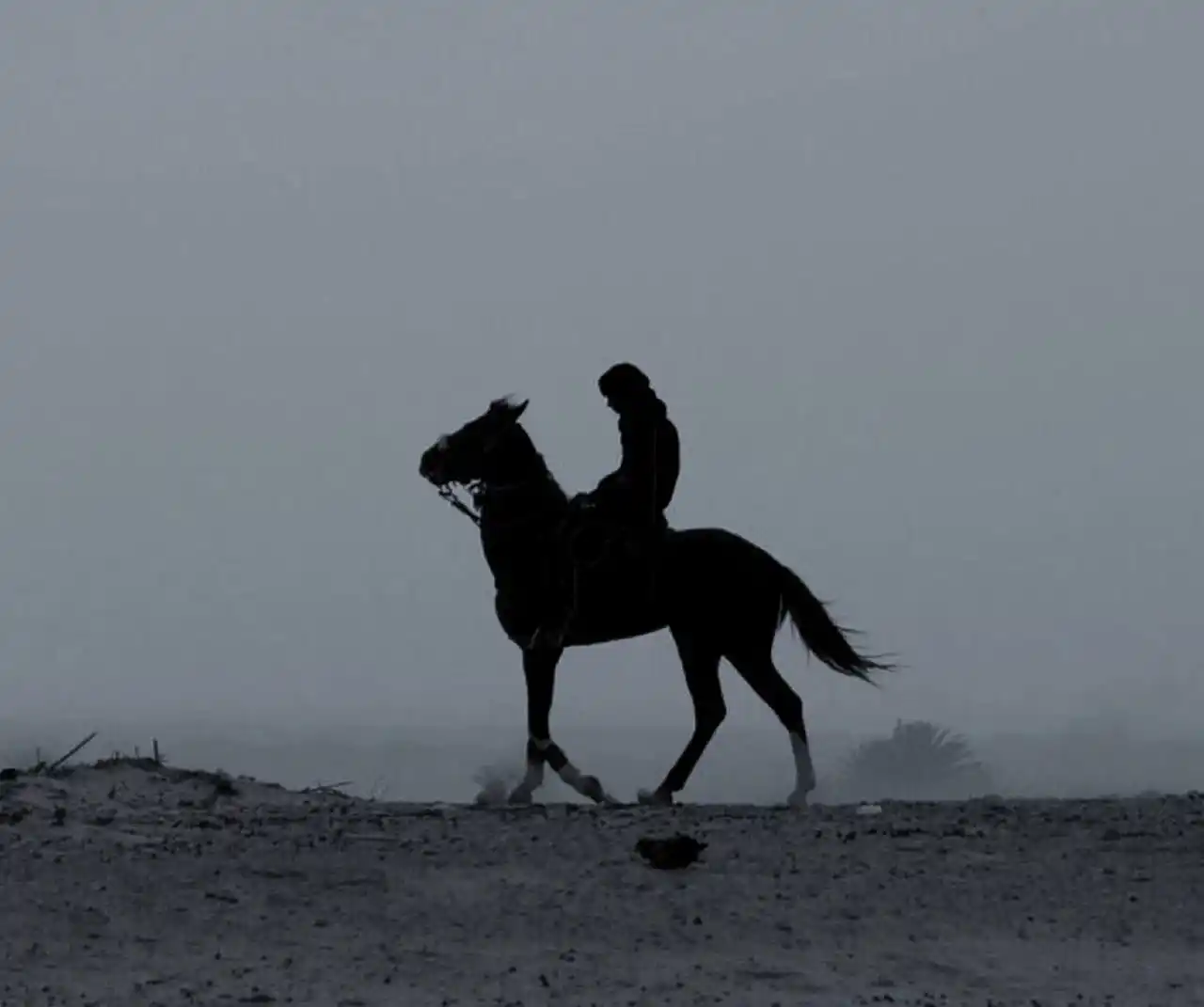 « غــ؍ــࢪبــ؍ــاء » post