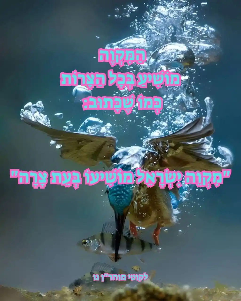 הָאֵשׁ שֶׁלִּי - ננמ"ח בְּרֶסְלָב post