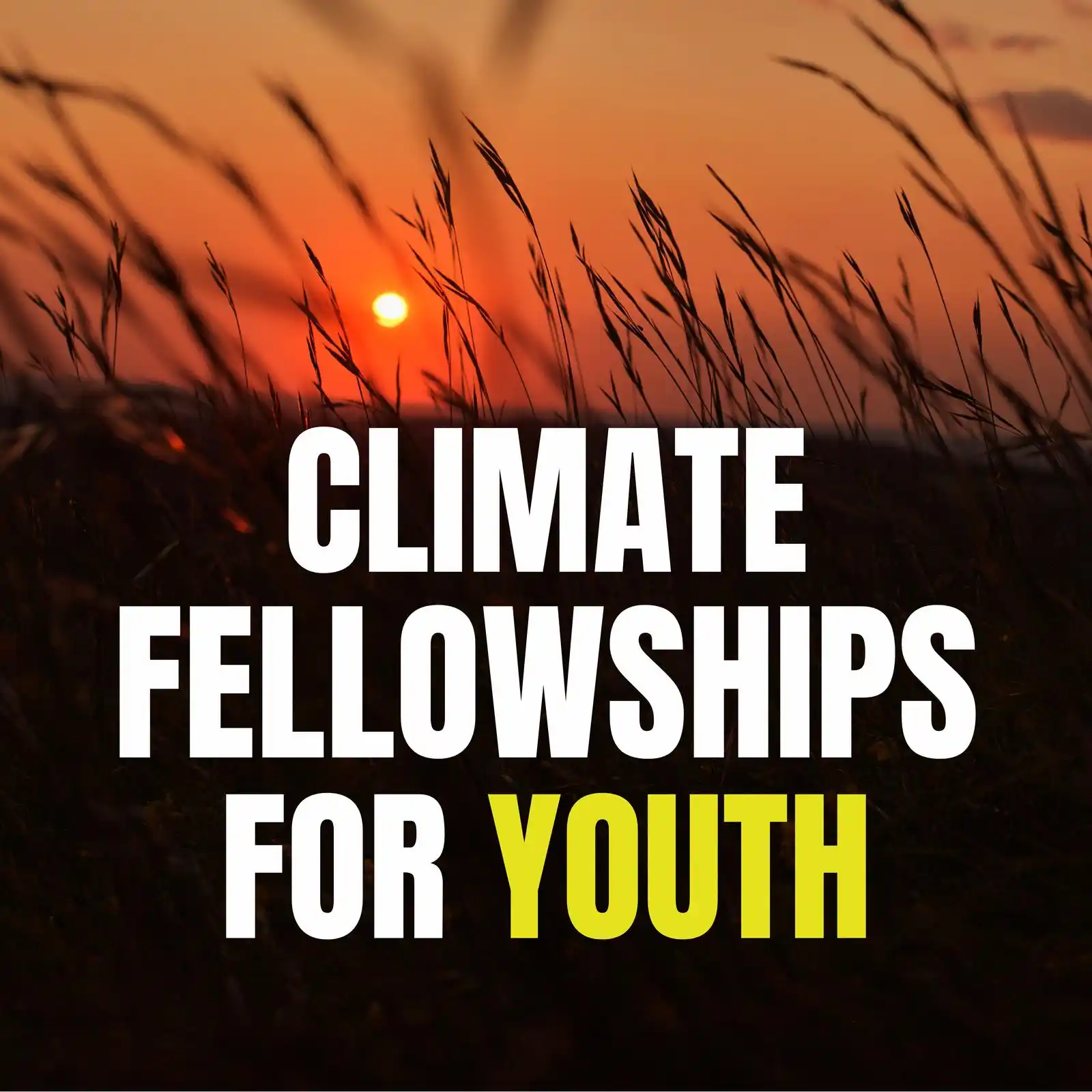 Image from JobsToApply.com: 05 Climate Fellowships for Youth Across the World 1. The Green Fellow...