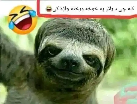 خاندو که نه خاندو post