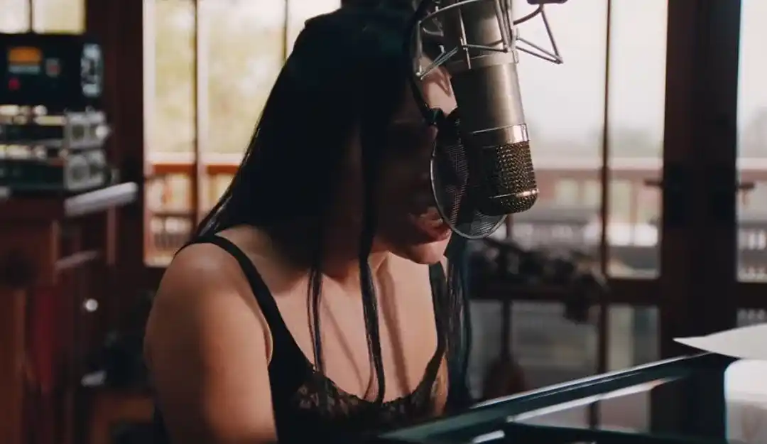 Lady Gaga A Go Go post