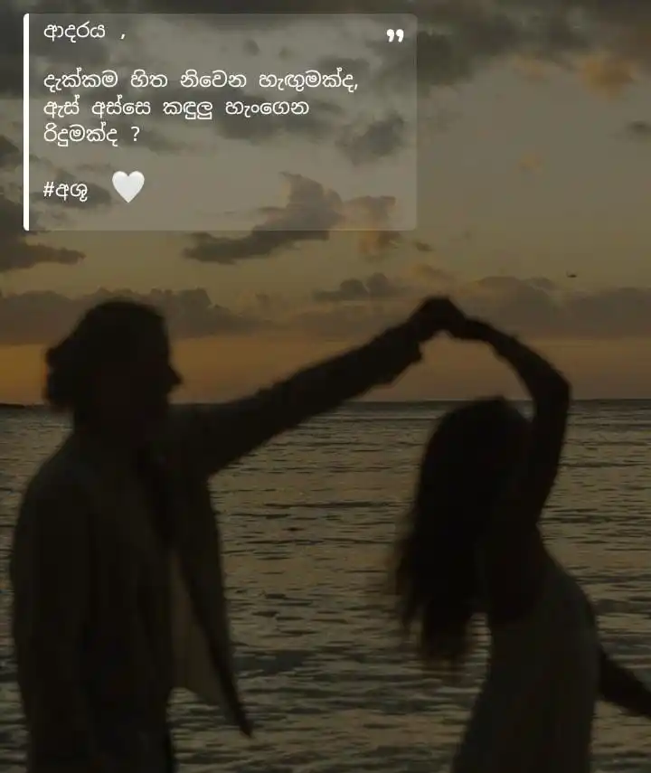 Lovely Sunflower ! 🌻🤍 post