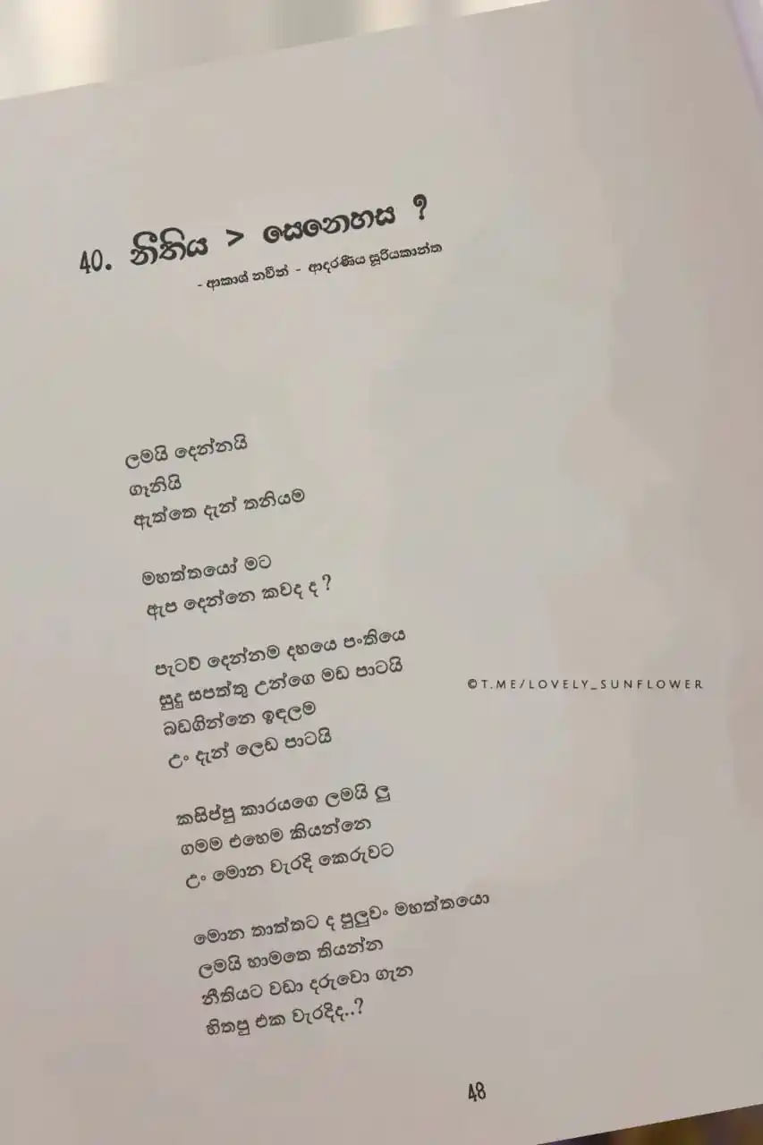 Lovely Sunflower ! 🌻🤍 post