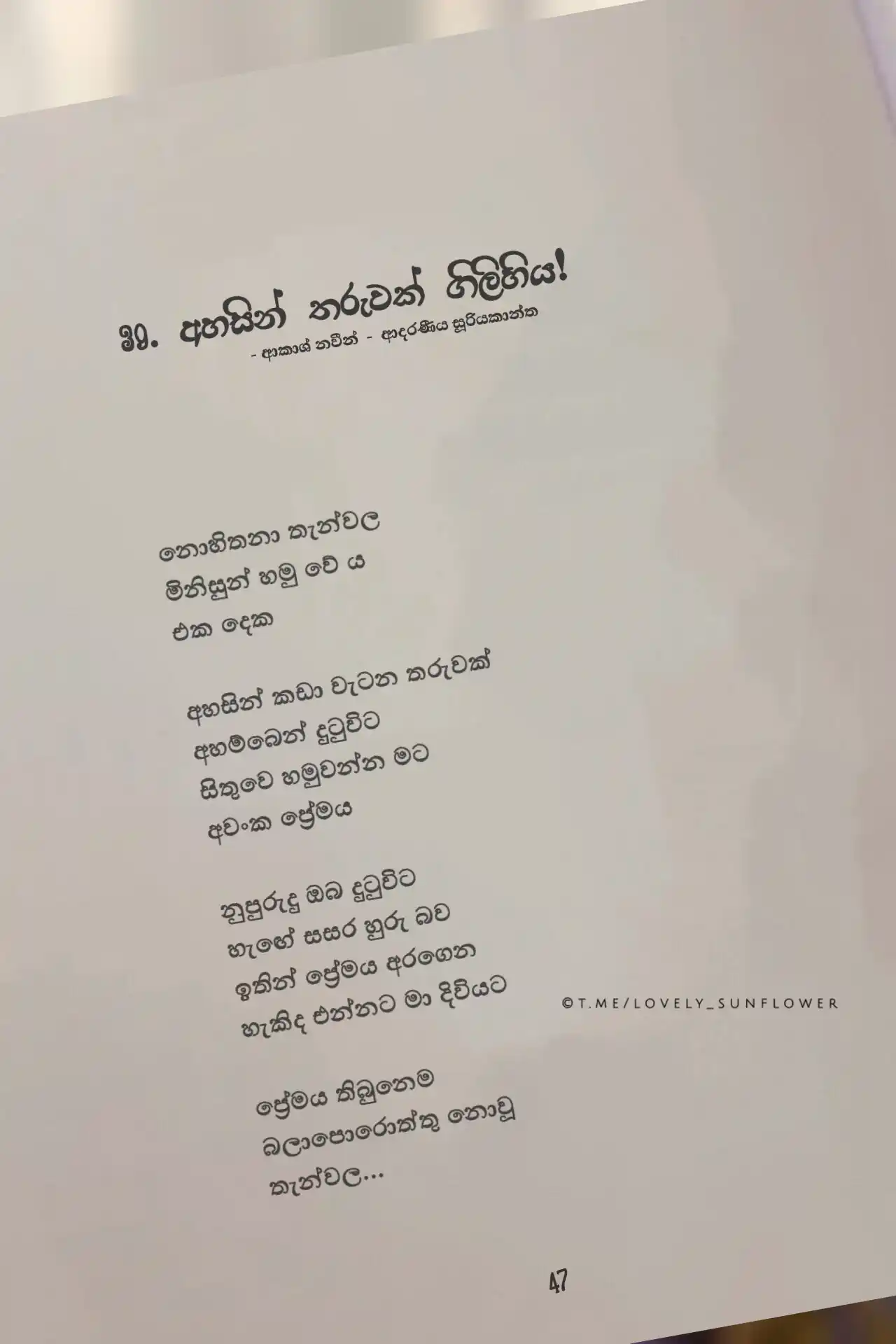 Lovely Sunflower ! 🌻🤍 post